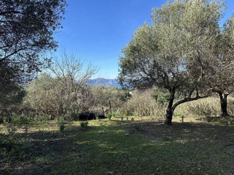 Episkopi bei Rethymno Kreta, Episkopi: Neubau-Projekt! Fabelhafte Villa mit Pool und Meerblick zu verkaufen Haus kaufen